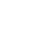 Logo Nicolo Scarvaglieri