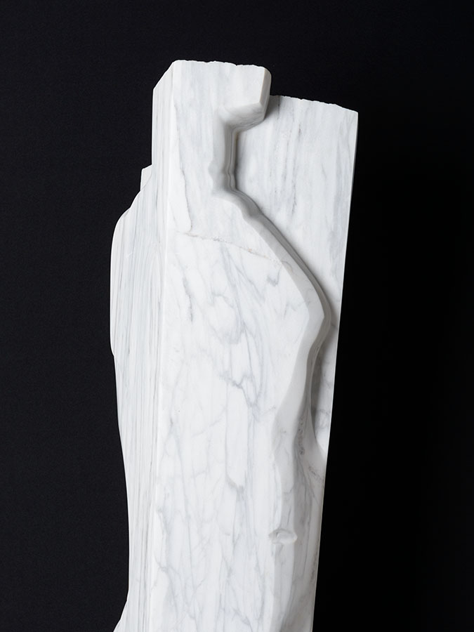 Nicolo Scarvaglieri - INSIEME-03