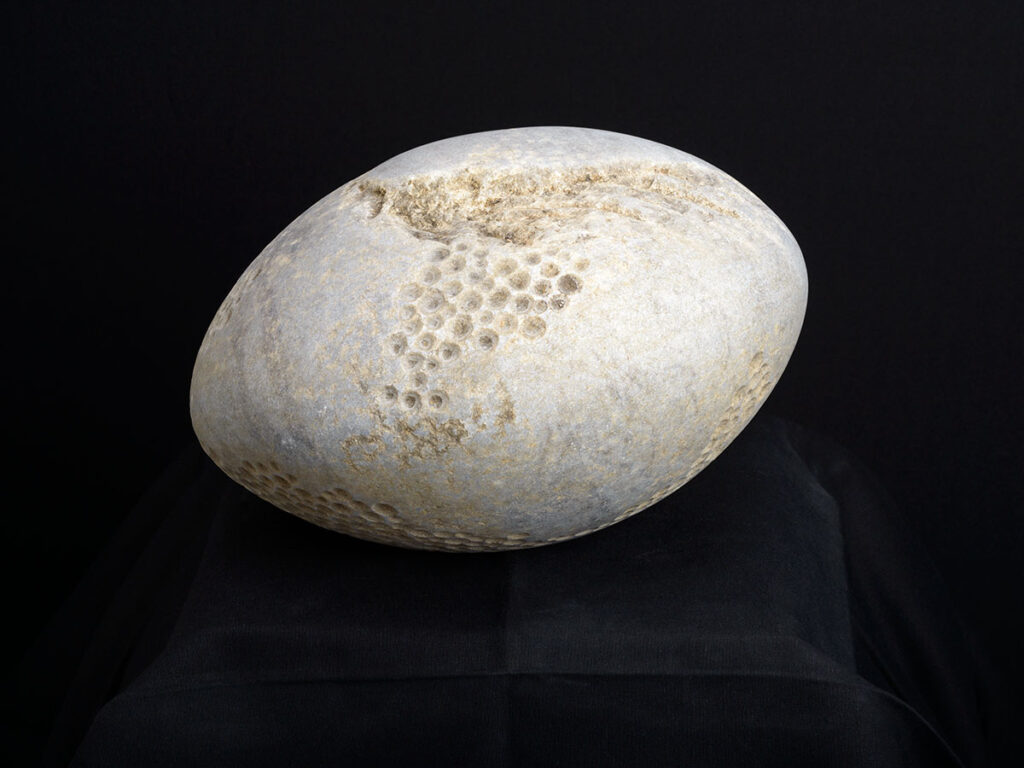 Nicolo Scarvaglieri - TONDO-01